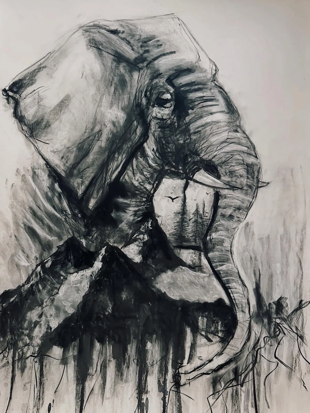 Black and grey pastel of an elephant's head merging into a mountain landscape, with drips running down the paper.